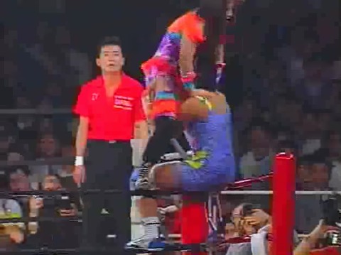女子プロレス夢のオールスター戦 - 鼻ホジペディア