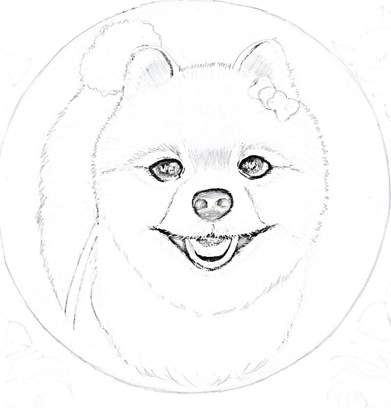 ポメラニアンの描き方がステップアップする！便利な下図5選