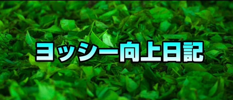 ヨッシー向上日記