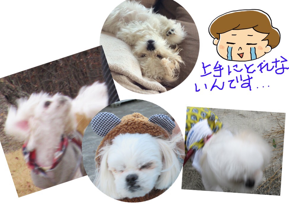 f:id:kobayuki0326:20180109120413j:plain f:id:kobayuki0326:20180109120413j:plain
