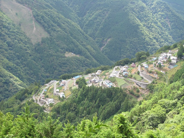 228e6c32.jpg