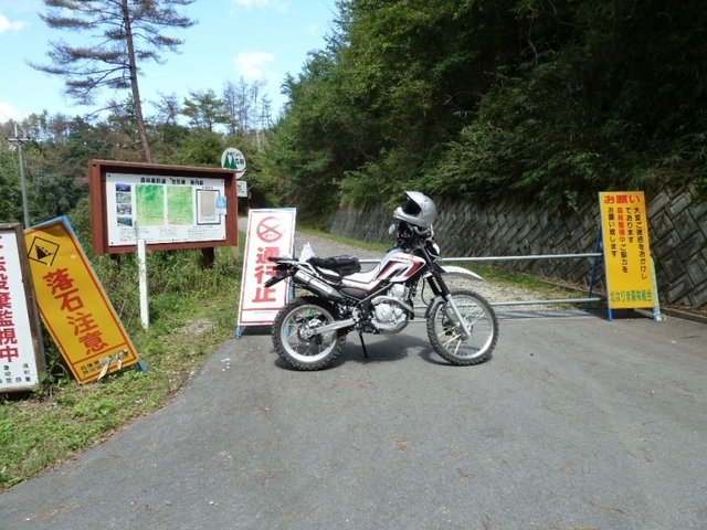 41703d24.jpg