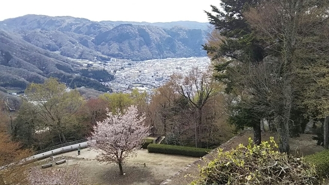 DSC_1698_HORIZON.jpg
