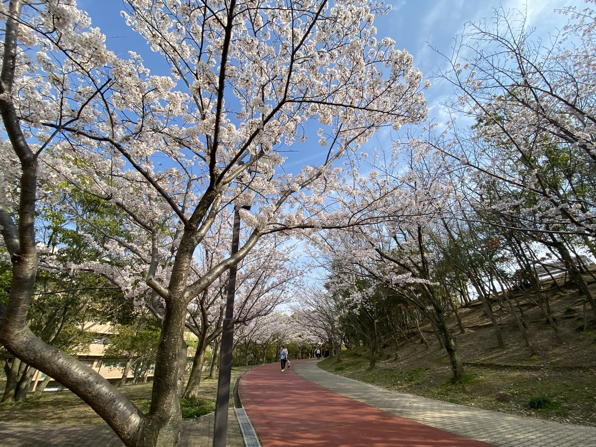 f:id:kobe-909:20200403172123j:plain