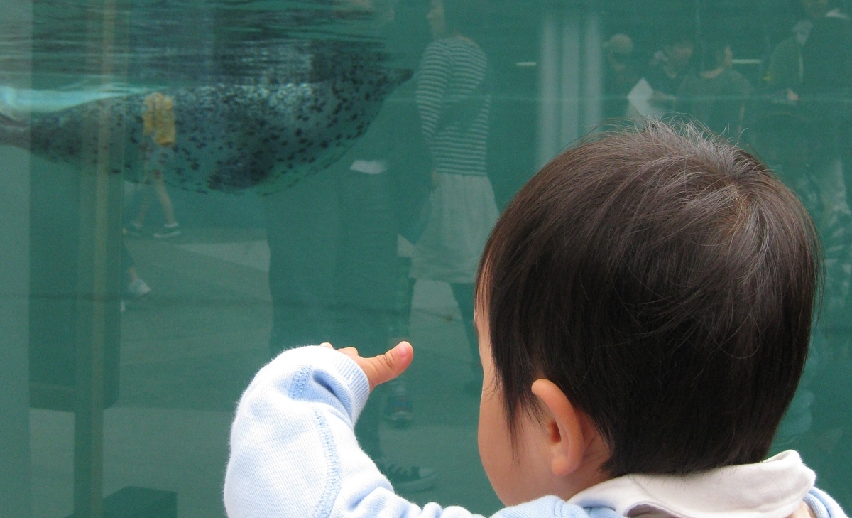 幼い子どものために 働くべきか しばらく家で子どもをみるべきか を悩むとき 自治体職員が書く 子育て支援 教育行政