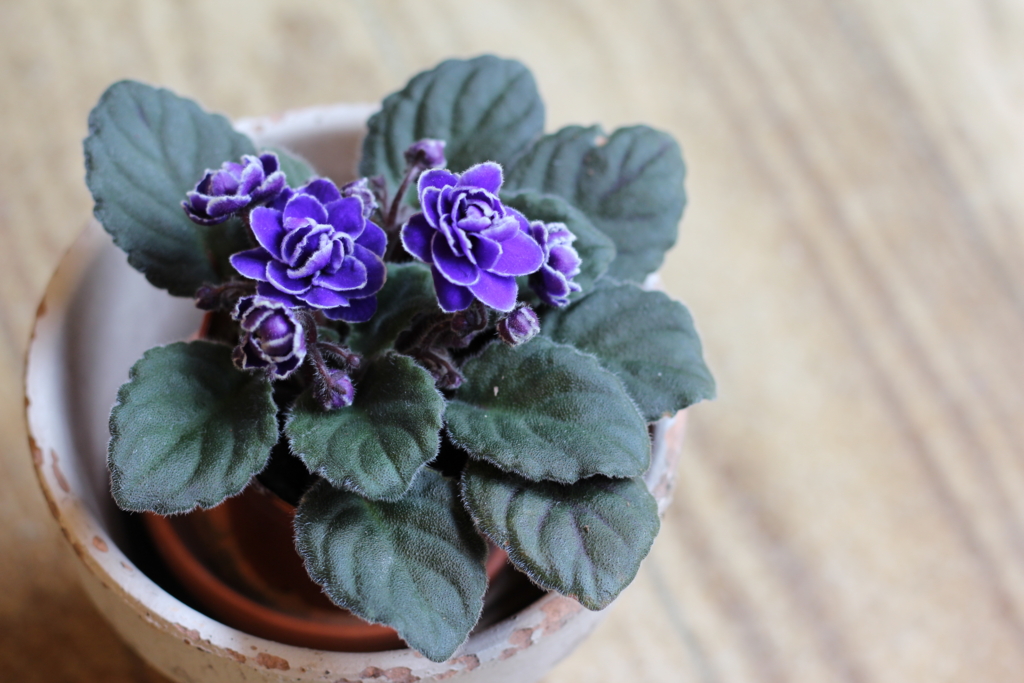 f:id:kobefinder:20170308143509j:plain f:id:kobefinder:20170308143509j:plain