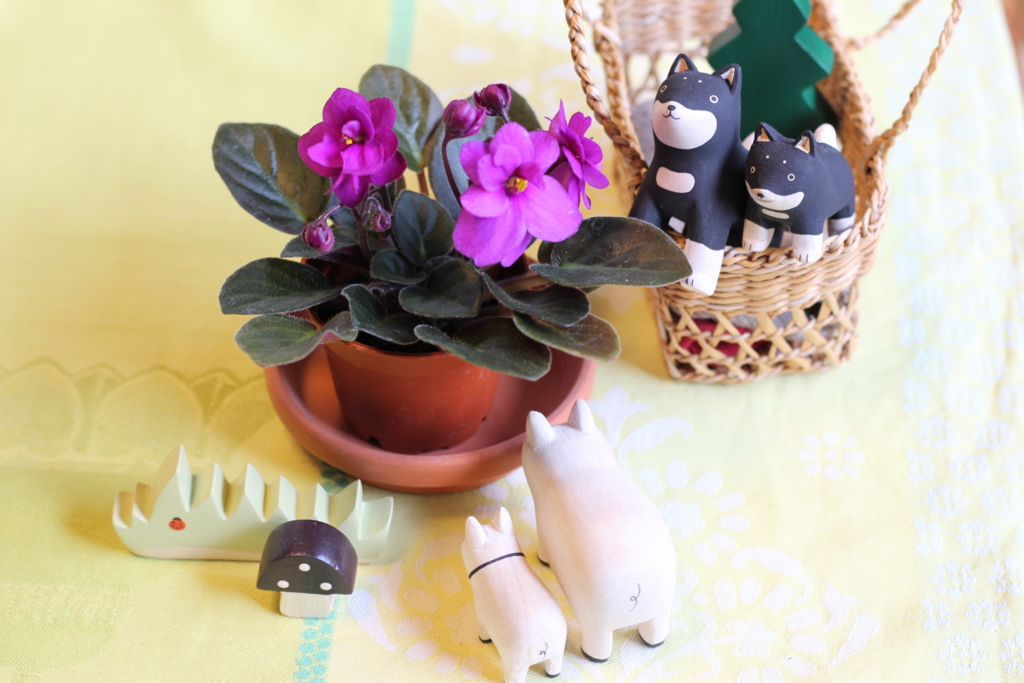 f:id:kobefinder:20170308143547j:plain f:id:kobefinder:20170308143547j:plain