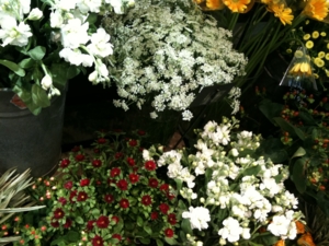 f:id:kobeni_17:20091228123012j:image:right f:id:kobeni_17:20091228123012j:image:right
