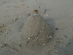 f:id:kobeni_17:20100710162128j:image:right f:id:kobeni_17:20100710162128j:image:right