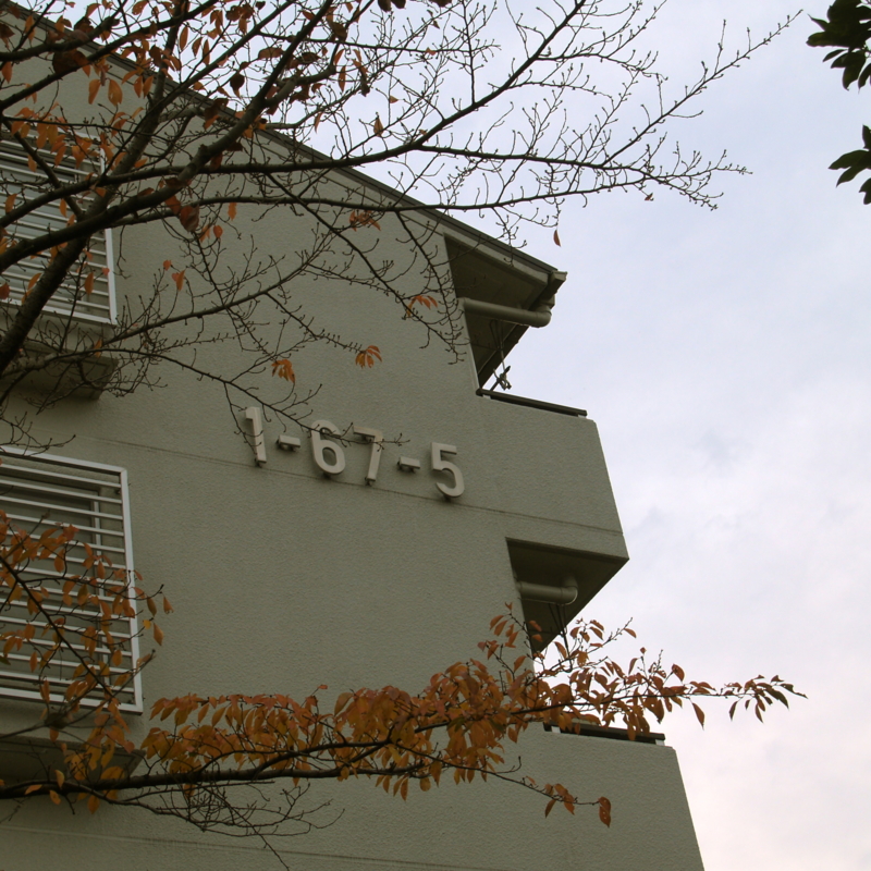 f:id:kobeni_17:20101114154354j:image f:id:kobeni_17:20101114154354j:image