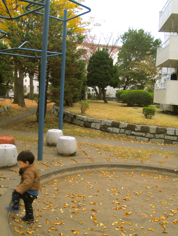 f:id:kobeni_17:20101114161807j:image f:id:kobeni_17:20101114161807j:image
