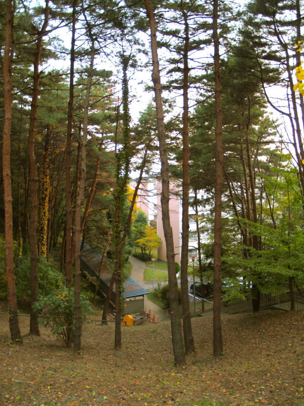 f:id:kobeni_17:20101114162433j:image f:id:kobeni_17:20101114162433j:image