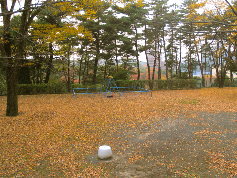 f:id:kobeni_17:20101114162655j:image f:id:kobeni_17:20101114162655j:image