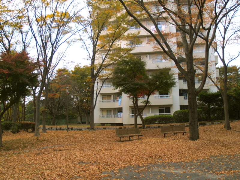 f:id:kobeni_17:20101114162750j:image f:id:kobeni_17:20101114162750j:image