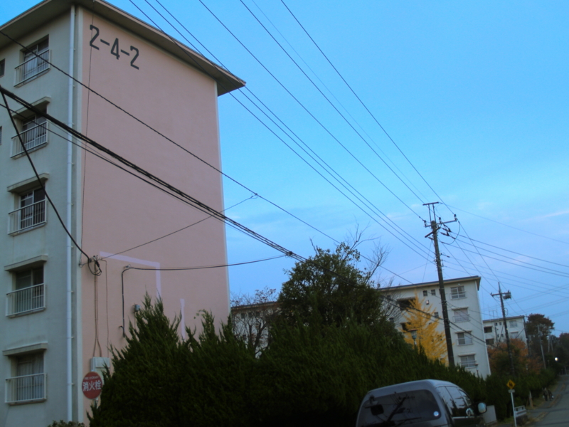 f:id:kobeni_17:20101114164145j:image f:id:kobeni_17:20101114164145j:image