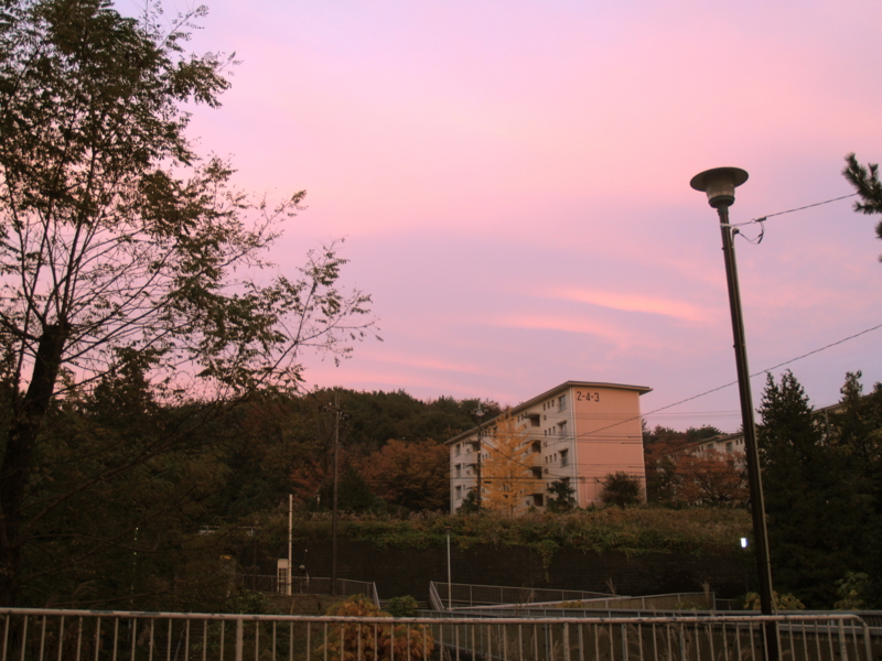 f:id:kobeni_17:20101114164912j:image f:id:kobeni_17:20101114164912j:image