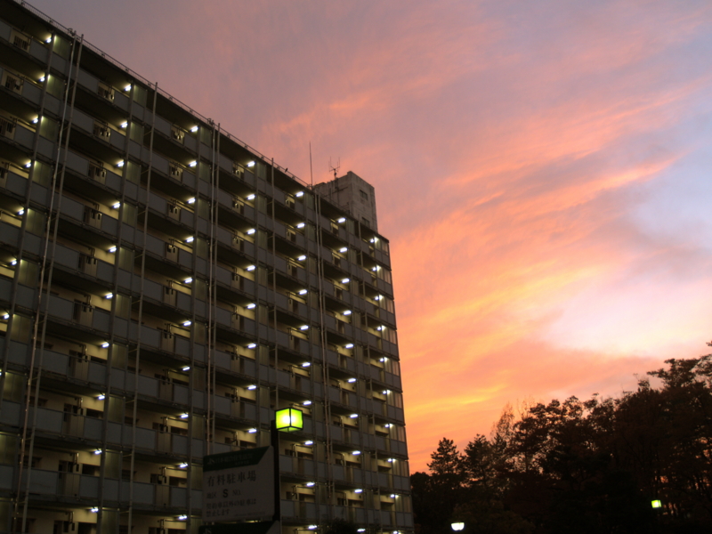 f:id:kobeni_17:20101114165013j:image f:id:kobeni_17:20101114165013j:image