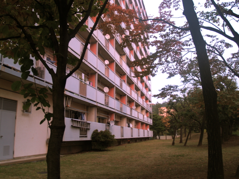 f:id:kobeni_17:20101114165258j:image f:id:kobeni_17:20101114165258j:image