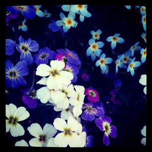f:id:kobeni_17:20110411234121j:image f:id:kobeni_17:20110411234121j:image