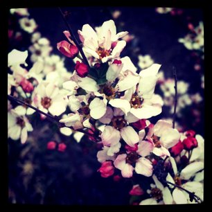 f:id:kobeni_17:20110411234122j:image f:id:kobeni_17:20110411234122j:image