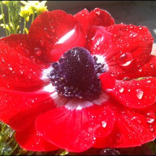 f:id:kobeni_17:20110411234126j:image f:id:kobeni_17:20110411234126j:image