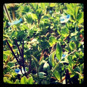 f:id:kobeni_17:20110411234128j:image f:id:kobeni_17:20110411234128j:image