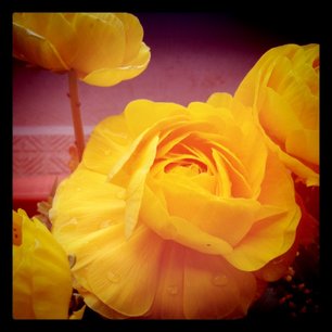 f:id:kobeni_17:20110411234130j:image f:id:kobeni_17:20110411234130j:image