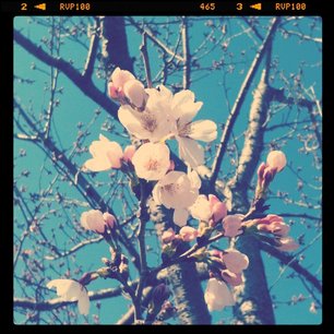 f:id:kobeni_17:20110411234131j:image f:id:kobeni_17:20110411234131j:image