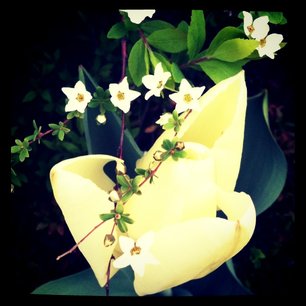 f:id:kobeni_17:20110411234134j:image f:id:kobeni_17:20110411234134j:image