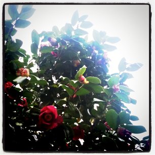 f:id:kobeni_17:20110411234135j:image f:id:kobeni_17:20110411234135j:image