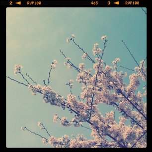 f:id:kobeni_17:20110411234137j:image f:id:kobeni_17:20110411234137j:image