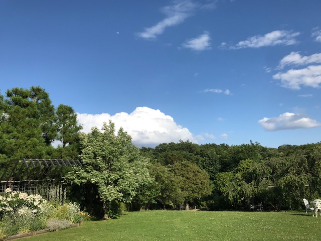 f:id:kobenomad:20190612163608j:plain