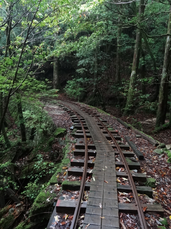 [2013-05-17][屋久島][縄文杉][登山]