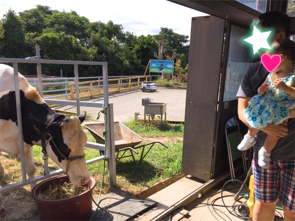 f:id:kobeoyaji:20170904205003j:image f:id:kobeoyaji:20170904205003j:image