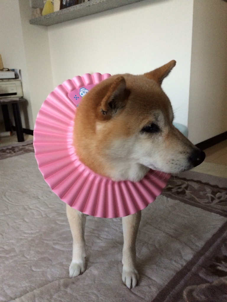 f:id:kobesansaku:20151222192742j:plain f:id:kobesansaku:20151222192742j:plain