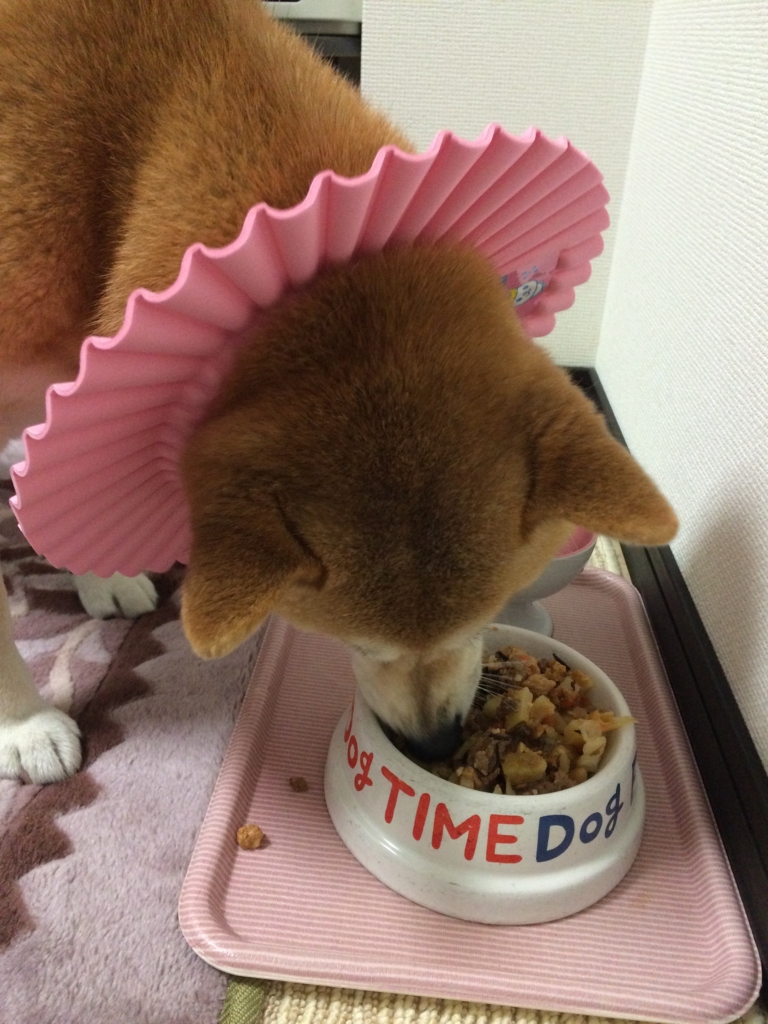 f:id:kobesansaku:20151222192809j:plain f:id:kobesansaku:20151222192809j:plain