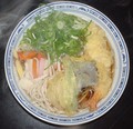 ネギ野菜テンプラそば