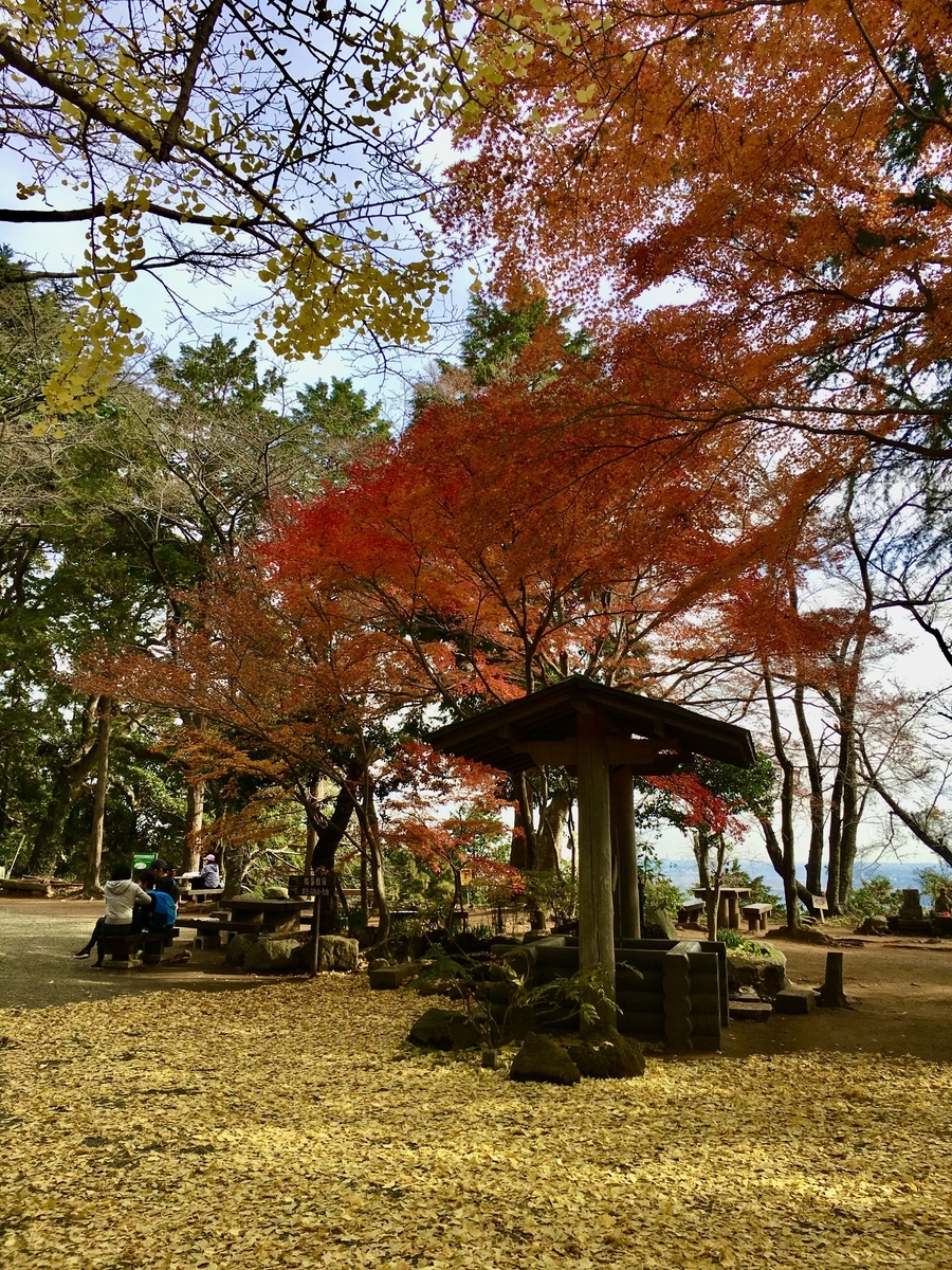 f:id:kobitoku:20191217074517j:plain f:id:kobitoku:20191217074517j:plain