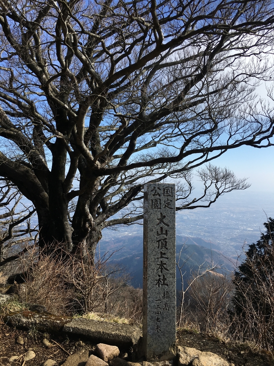 f:id:kobitoku:20191221164820j:plain f:id:kobitoku:20191221164820j:plain