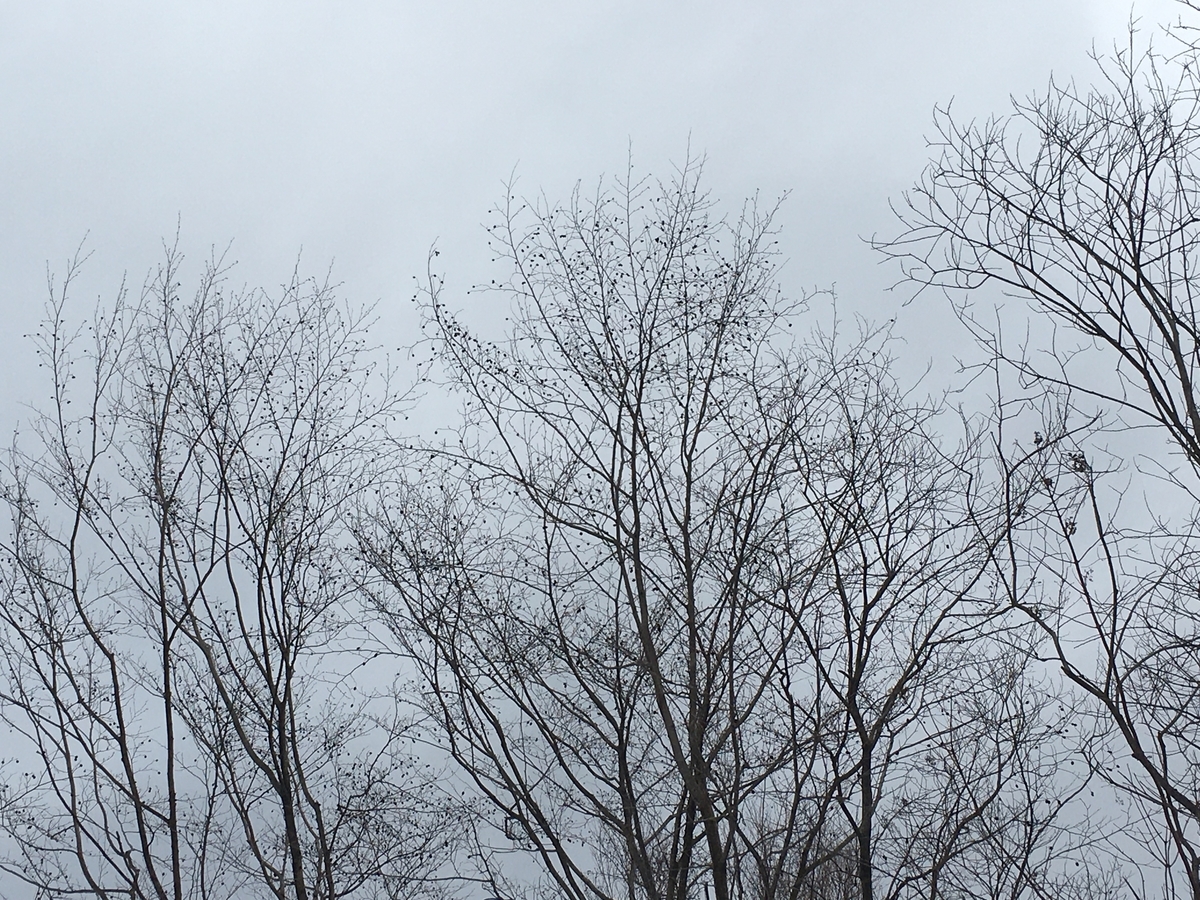 f:id:kobitoku:20191230083357j:plain f:id:kobitoku:20191230083357j:plain