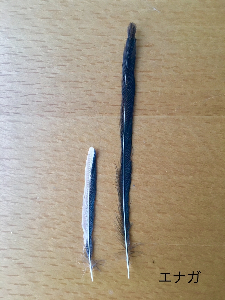 f:id:kobitoku:20191231210055j:plain f:id:kobitoku:20191231210055j:plain