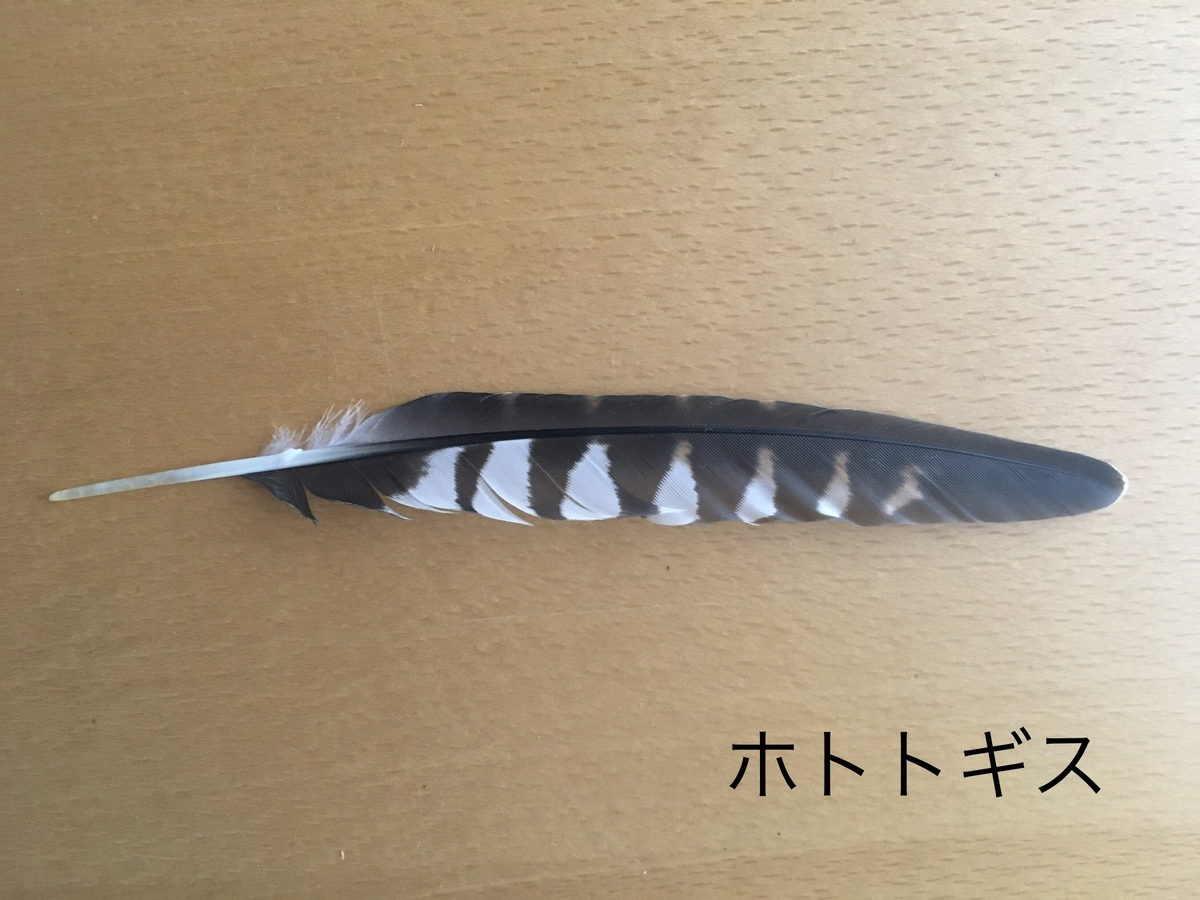 f:id:kobitoku:20191231210238j:plain f:id:kobitoku:20191231210238j:plain