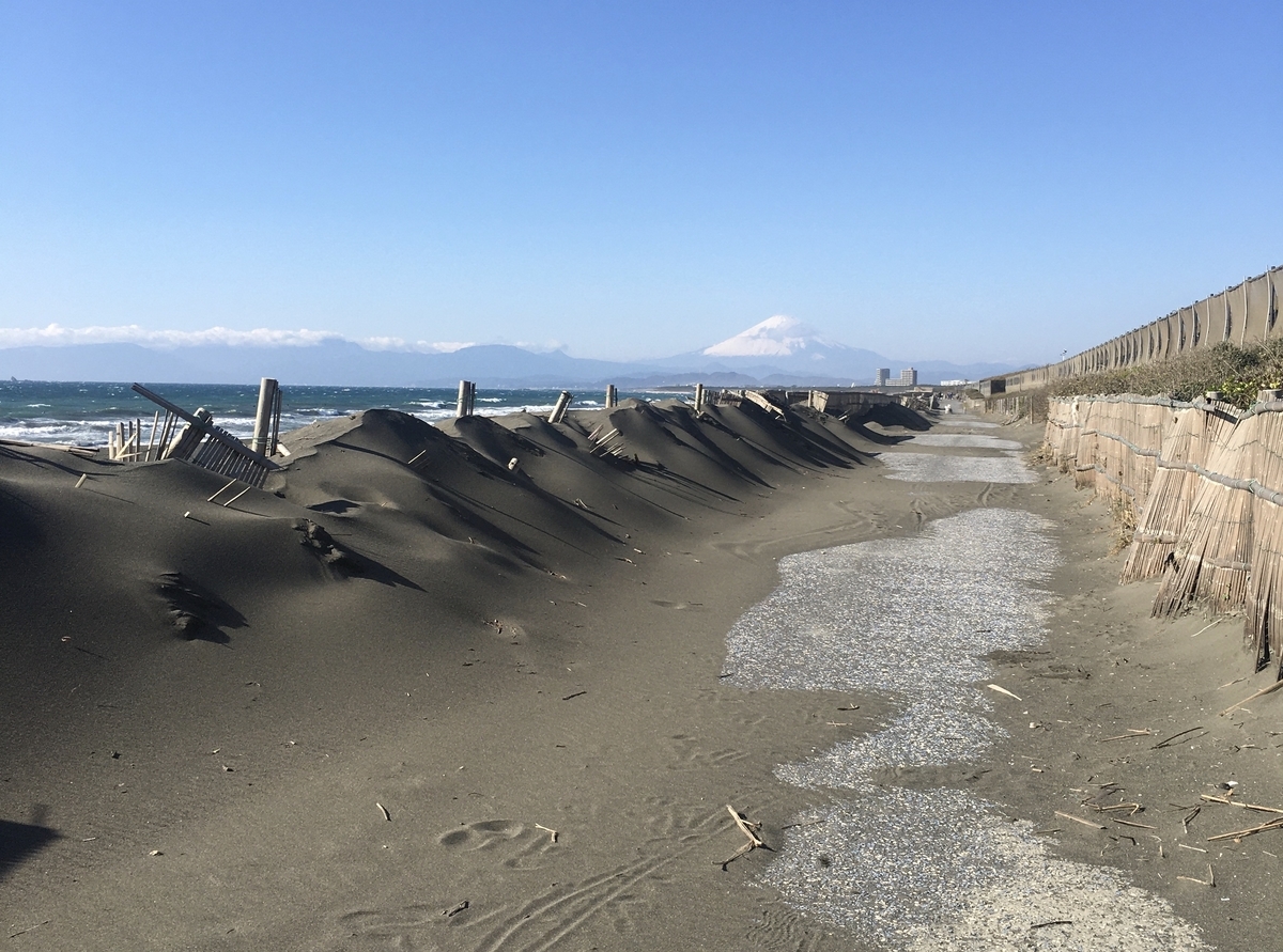 f:id:kobitoku:20191231212047j:plain f:id:kobitoku:20191231212047j:plain