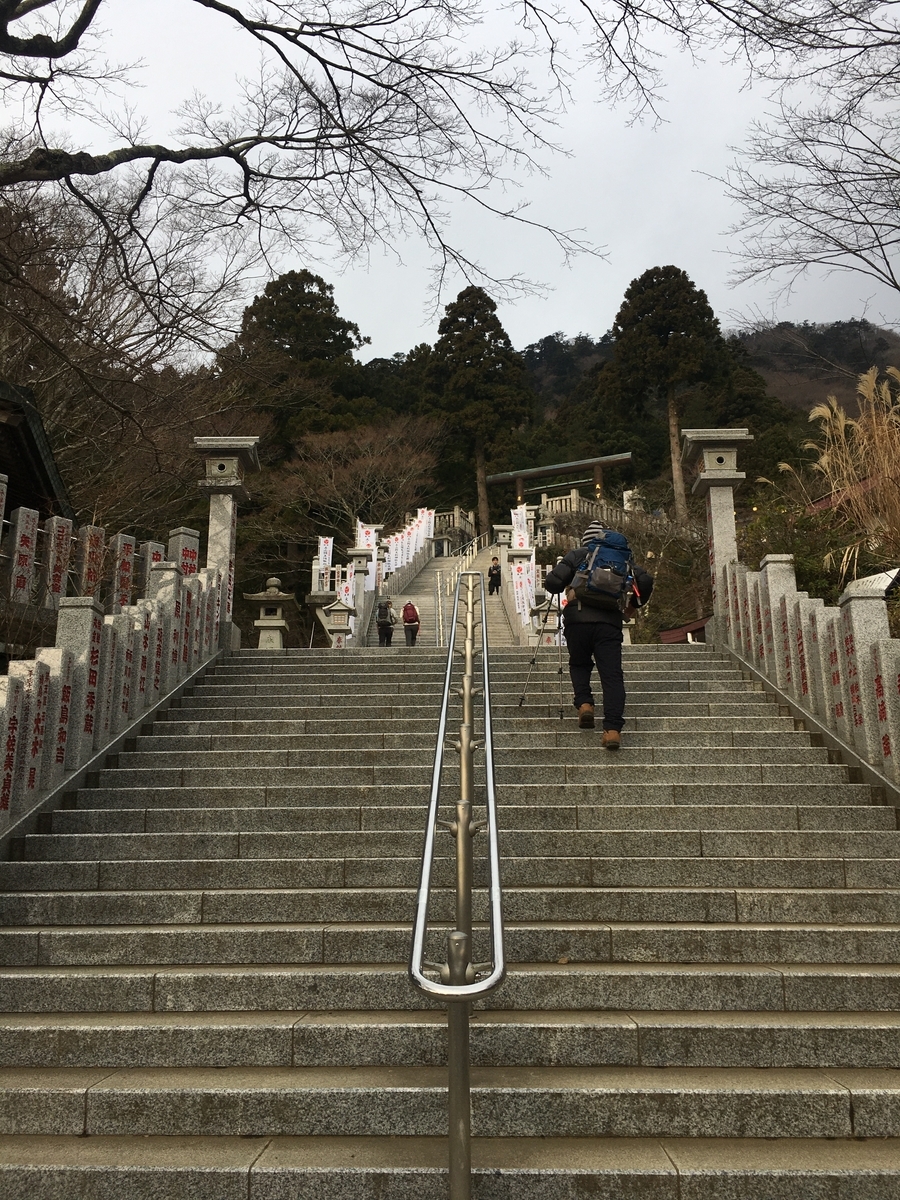 f:id:kobitoku:20200111185537j:plain f:id:kobitoku:20200111185537j:plain
