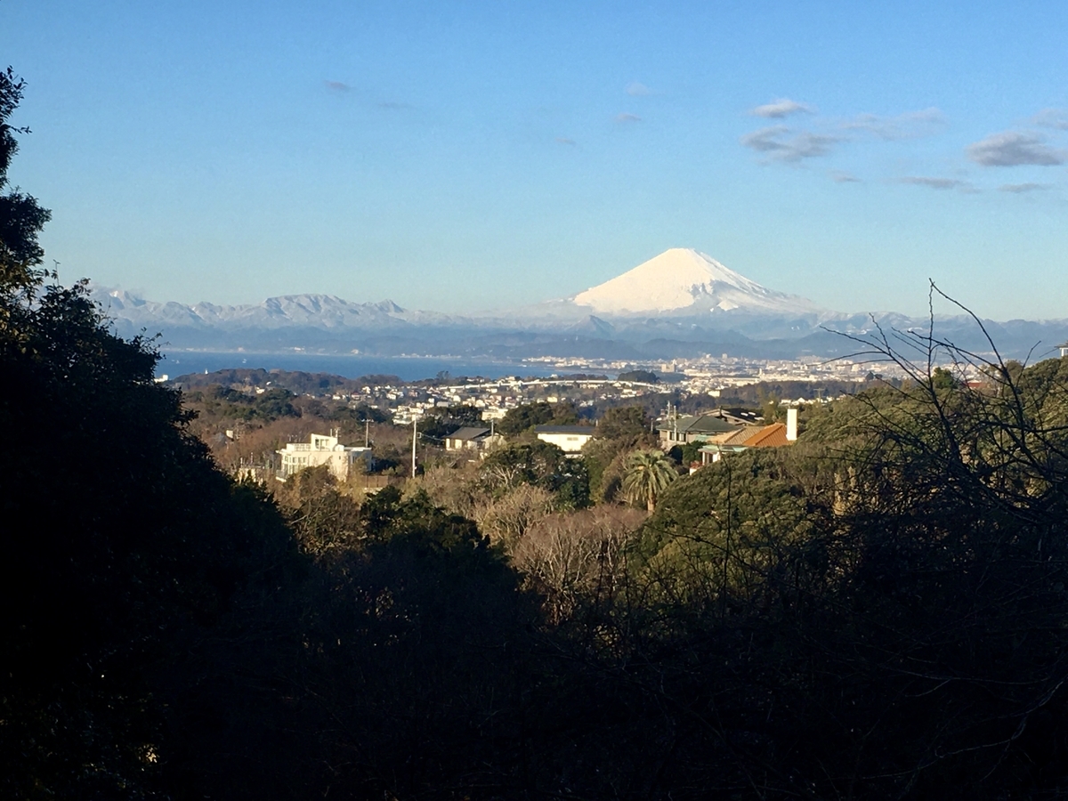 f:id:kobitoku:20200120081453j:plain