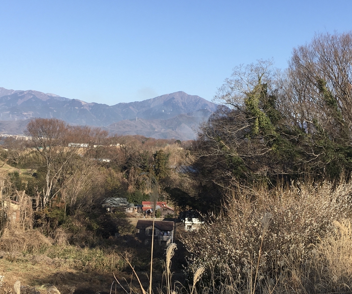 f:id:kobitoku:20200210072854j:plain f:id:kobitoku:20200210072854j:plain