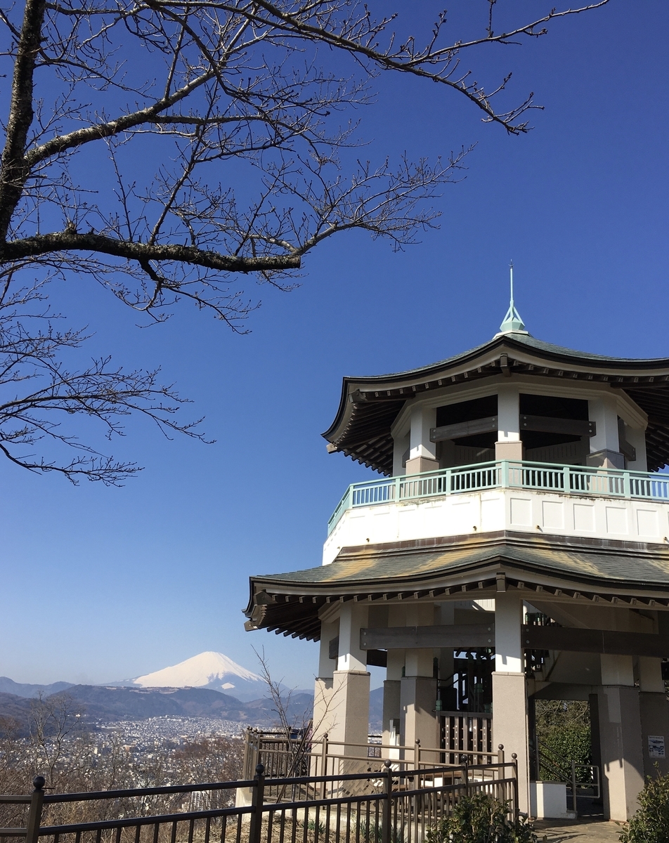 f:id:kobitoku:20200210073328j:plain f:id:kobitoku:20200210073328j:plain
