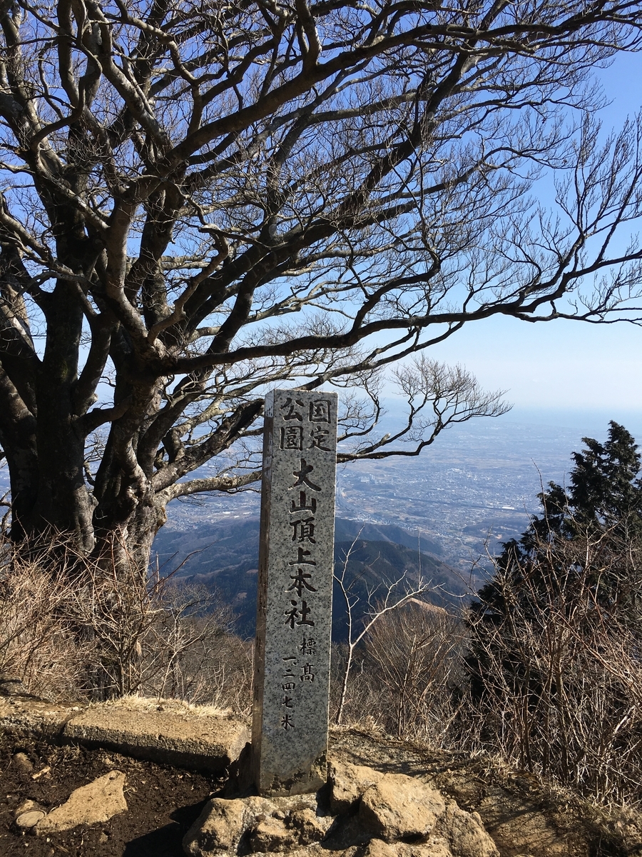 f:id:kobitoku:20200210073828j:plain f:id:kobitoku:20200210073828j:plain
