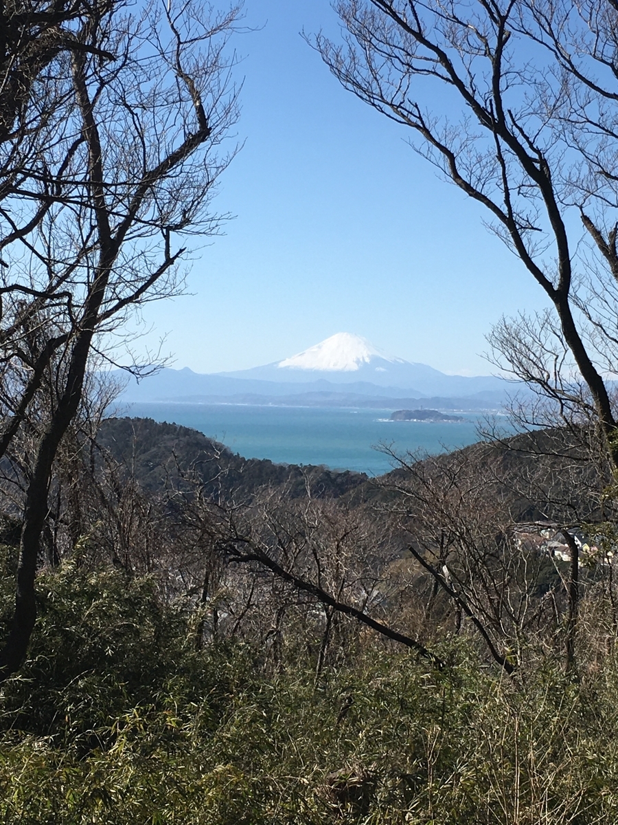 f:id:kobitoku:20200227073546j:plain f:id:kobitoku:20200227073546j:plain