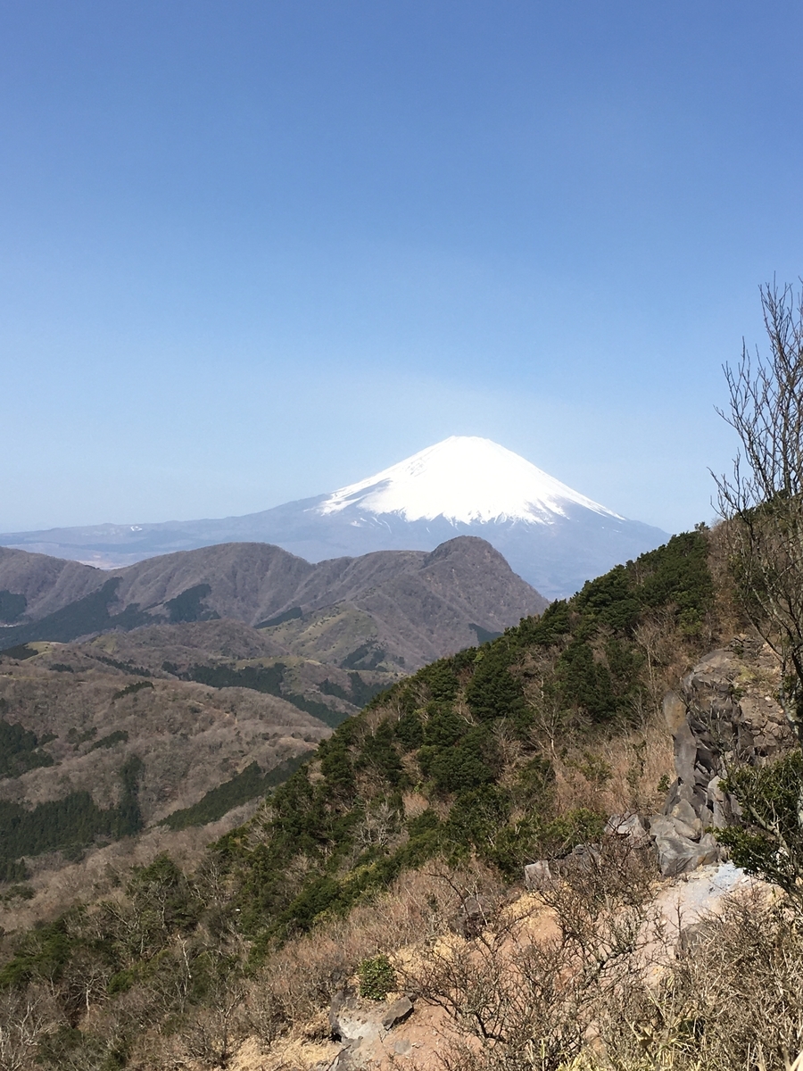 f:id:kobitoku:20200323193339j:plain f:id:kobitoku:20200323193339j:plain